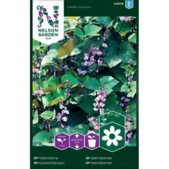 Hjelmbønne Lablab Purpureus