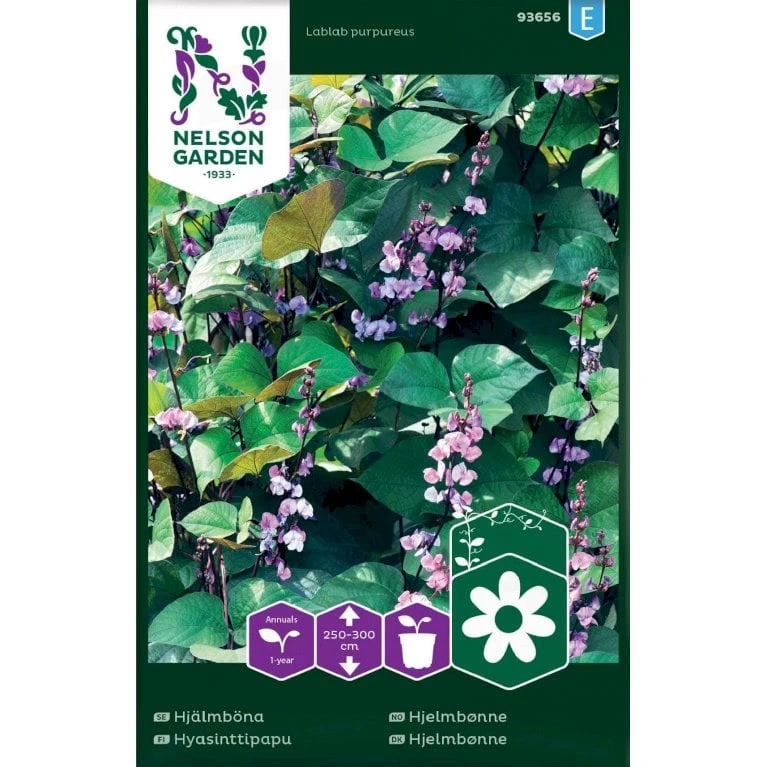 Hjelmbønne Lablab Purpureus 3 Hjelmbønne Lablab Purpureus