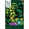 Sommerfugleblomsterkarse Tropaeolum Peregrinum L. -Osmo Salgsbutik p33894 37244 tropaeolum peregrinum l 16cd