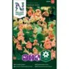 Buskblomsterkarse 'Salmon Baby' Tropaeolum Majus 'Salmon Baby' 2 Buskblomsterkarse 'Salmon Baby' Tropaeolum Majus 'Salmon Baby' -Osmo Salgsbutik p33905 37253 tropaeolum majus salmon baby fc91
