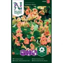 Buskblomsterkarse 'Salmon Baby' Tropaeolum Majus 'Salmon Baby'