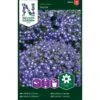 Hængelobelie 'Saphir' Lobelia Erinus 'Saphir' 1 Hængelobelie 'Saphir' Lobelia Erinus 'Saphir' -Osmo Salgsbutik p33915 37262 lobelia erinus saphir 060f