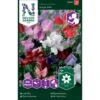 Ærteblomst 'Royal Mix' Big Pack Lathyrus Odoratus L. 'Royal' Mix 2 Ærteblomst 'Royal Mix' Big Pack Lathyrus Odoratus L. 'Royal' Mix -Osmo Salgsbutik p33927 37273 lathyrus odoratus l royal mix 67f2