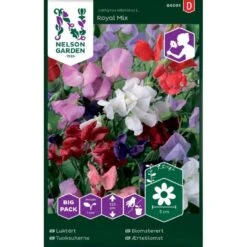 Ærteblomst 'Royal Mix' Big Pack Lathyrus Odoratus L. 'Royal' Mix