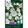 Mamelukærme 'Mont Blanc' Lavatera Trimestris L. 'Mont Blanc' -Osmo Salgsbutik p33932 37277 lavatera trimestris l mont blanc fea5