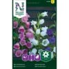 Marieklokke Mix Campanula Medium L. -Osmo Salgsbutik p33934 37279 campanula medium l 2898