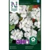 Pelargonie 'Inspire White' F1 Pelargonium X Hortorum 'Inspire White' F1 1 Pelargonie 'Inspire White' F1 Pelargonium X Hortorum 'Inspire White' F1 -Osmo Salgsbutik p33942 37285 pelargonium x hortorum inspire white f1 5cef
