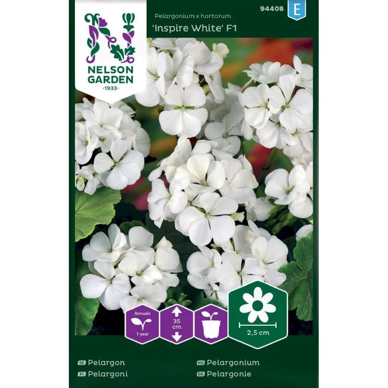 Pelargonie 'Inspire White' F1 Pelargonium X Hortorum 'Inspire White' F1 3 Pelargonie 'Inspire White' F1 Pelargonium X Hortorum 'Inspire White' F1