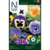 Stedmoder 'Florist Strain' Mix Viola X Wittrockiana 'Florist Strain' 2 Stedmoder 'Florist Strain' Mix Viola X Wittrockiana 'Florist Strain' -Osmo Salgsbutik p33943 37286 viola x wittrockiana florist strain a48d