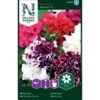 Petunia Dobbelt 'Glorious' F1 Mix Petunia Hybrida 'Glorius' F1