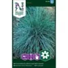 Blåsvingel Festuca -Osmo Salgsbutik p33957 37296 festuca 0b06