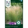 Prydgræs 'Pony Tails' Nassella Tenuissima 'Pony Tails' -Osmo Salgsbutik p33960 37299 nassella tenuissima pony tails d520