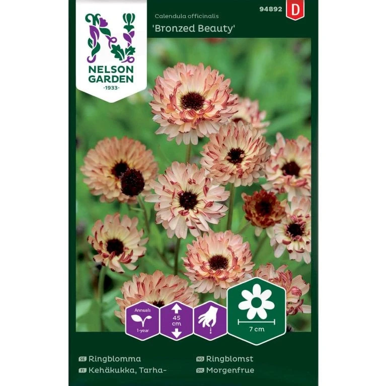 Morgenfrue 'Bronzed Beauty' Calendula Officinalis 'Bronzed Beauty' 3 Morgenfrue 'Bronzed Beauty' Calendula Officinalis 'Bronzed Beauty'