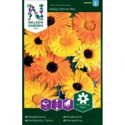 Lav Morgenfrue 'Daisy Citrus' Mix Calendula Officinalis 'Daisy Citrus' Mix