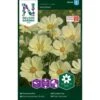 Stolt Kavaler 'Xanthos' Cosmos Bipinnatus 'Xanthos' 2 Stolt Kavaler 'Xanthos' Cosmos Bipinnatus 'Xanthos' -Osmo Salgsbutik p33989 37326 cosmos bipinnatus xanthos d04b
