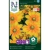 Håret Solhat 'Praire Sun' Rudbeckia Hirta Var. Pulcherrima 'Prairie Sun' 2 Håret Solhat 'Praire Sun' Rudbeckia Hirta Var. Pulcherrima 'Prairie Sun' -Osmo Salgsbutik p33995 37331 rudbeckia hirta var pulcherrima prairie sun bfb2