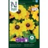 Lav Håret Solhat 'Toto Gold' Rudbeckia Hirta Var. Pulcherrima 'Toto Gold'