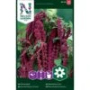 Rød Rævehaleamarant Amaranthus Caudatus L. 2 Rød Rævehaleamarant Amaranthus Caudatus L. -Osmo Salgsbutik p33997 37333 amaranthus caudatus l d7a7