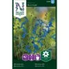 Salvie 'Blue Angel' Salvia Patens 'Blue Angel' -Osmo Salgsbutik p33998 37334 salvia patens blue angel 8d4c