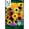 Høj Solsikke 'Wilde Mixture' Helianthus Annuus 'Wilde Mixture' 2 Høj Solsikke 'Wilde Mixture' Helianthus Annuus 'Wilde Mixture' -Osmo Salgsbutik p34003 37337 helianthus annuus wilde mixture ba67