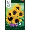 Høj Solsikke 'Moonwalker' Helianthus Annuus 'Moonwalker' -Osmo Salgsbutik p34008 37340 helianthus annuus moonwalker 3c7b
