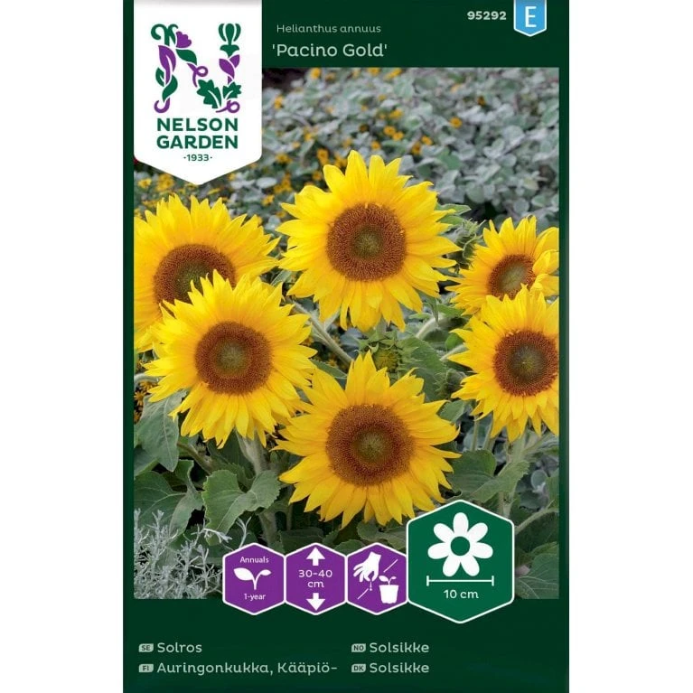 Lav Solsikke 'Pacino Gold' Helianthus Annuus 'Pacino Gold' 3 Lav Solsikke 'Pacino Gold' Helianthus Annuus 'Pacino Gold'