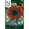 Solsikke 'Ruby' F1 Helianthus Annuus 'Ruby' F1