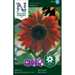 Solsikke 'Ruby' F1 Helianthus Annuus 'Ruby' F1