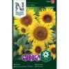 Lav Solsikke 'Sunspot' Helianthus Annuus 'Sunspot' 2 Lav Solsikke 'Sunspot' Helianthus Annuus 'Sunspot' -Osmo Salgsbutik p34013 37345 helianthus annuus sunspot e5a3