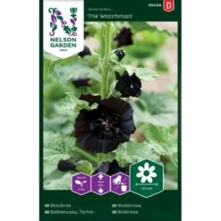 Stokrose 'The Watchman' Alcea Rosea L. 'The Watchman'