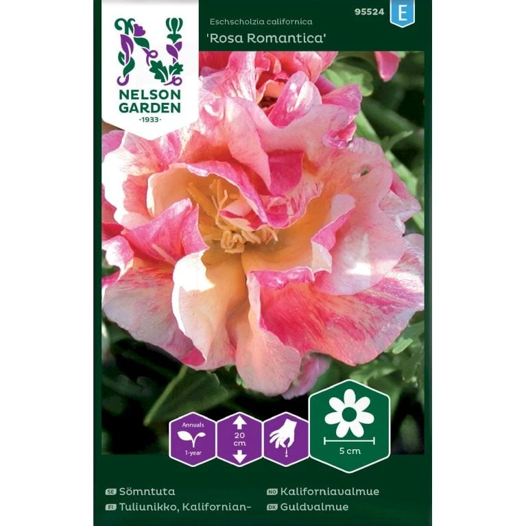 Californisk Guldvalmue 'Rosa Romantica' Eschscholzia Californica 'Rosa Romantica' 3 Californisk Guldvalmue 'Rosa Romantica' Eschscholzia Californica 'Rosa Romantica'