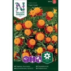 Fløjlsblomst 'Tiger Eyes' Tagetes Patula 'Tiger Eyes'