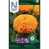 Stor Fløjlsblomst 'Taishan Orange' Tagetes Erecta 'Taishan Orange' 1 Stor Fløjlsblomst 'Taishan Orange' Tagetes Erecta 'Taishan Orange' -Osmo Salgsbutik p34039 37368 tagetes erecta taishan orange b80a
