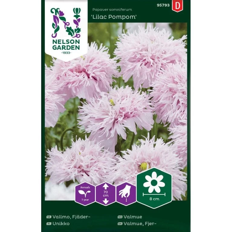 Valmue 'Lilac Pompom' Papaver Somniferum 'Lilac Pompom' 3 Valmue 'Lilac Pompom' Papaver Somniferum 'Lilac Pompom'
