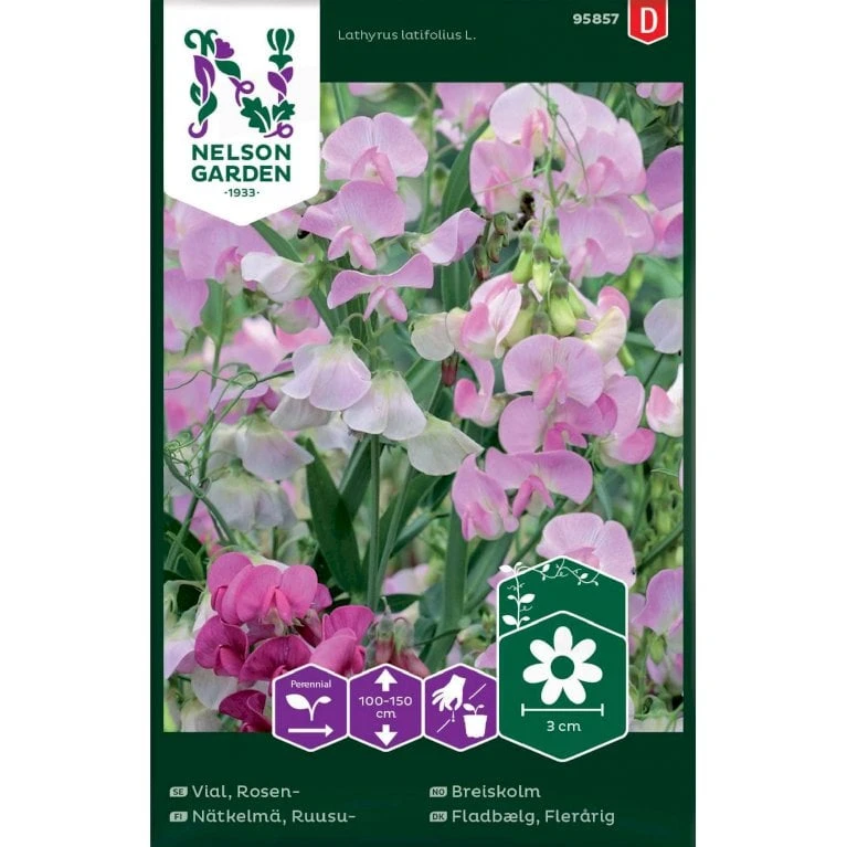 Flerårig Ærteblomst Rosa-Hvid Lathyrus Latifolius L. 3 Flerårig Ærteblomst Rosa-Hvid Lathyrus Latifolius L.