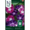 Purpurpragtsnerle 'Bohemian Shades' Ipomoea Purpurea 'Bohemian Shades' 2 Purpurpragtsnerle 'Bohemian Shades' Ipomoea Purpurea 'Bohemian Shades' -Osmo Salgsbutik p34058 37381 ipomoea purpurea bohemian shades 95d5