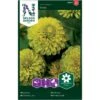 Frøkenhat 'Envy' Zinnia Elegans 'Envy' -Osmo Salgsbutik p34062 37383 zinnia elegans envy 4a47