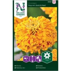 Frøkenhat, Pop Art Gold & Red Zinnia Elegans 'Pop Art Gold & Red'