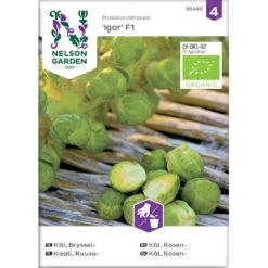 Rosenkål 'Igor' F1 Øko Brassica Oleracea 'Igor' F1 Frøpose, Antal Pr. Pakke, Ca. 20 Stk.