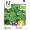 Citronmelisse 'Lemona' Øko Melissa Officinalis L. 'Lemona' Frøpose, Antal Pr. Pakke, Ca. 75 Stk. -Osmo Salgsbutik p34104 22124 lemona 57fa