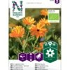 Morgenfrue Øko Calendula Officinalis Frøpose, Antal Pr. Pakke, Ca. 15 Stk. -Osmo Salgsbutik p34124 54709 calendula officinalis c203