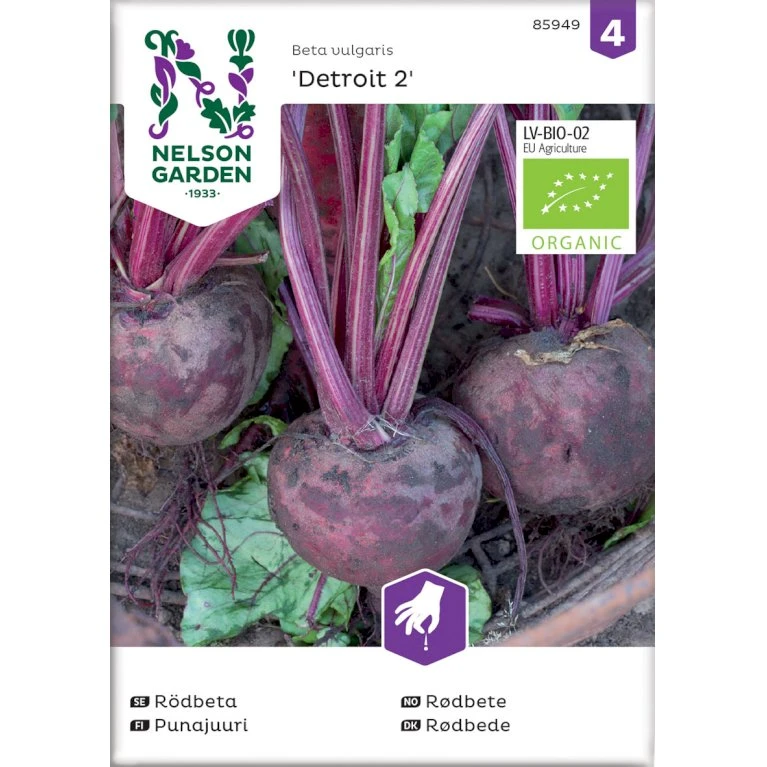 Rund Rødbede 'Detroit 2' Øko Beta Vulgaris 'Detroit 2' Frøpose, Antal Pr. Pakke, Ca. 100 Stk. 3 Rund Rødbede 'Detroit 2' Øko Beta Vulgaris 'Detroit 2' Frøpose, Antal Pr. Pakke, Ca. 100 Stk.