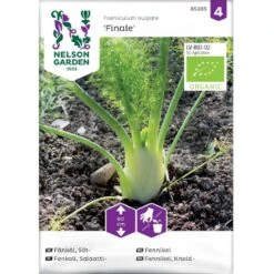 Knoldfennikel 'Finale' Øko Foeniculum Vulgare 'Finale' Frøpose, Antal Pr. Pakke, Ca. 20 Stk.