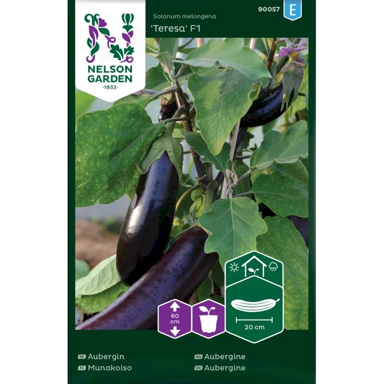 Aubergine 'Teresa' F1 Solanum Melongena 'Teresa' F1 3 Aubergine 'Teresa' F1 Solanum Melongena 'Teresa' F1