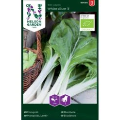 Bladbede 'White Silver 3' Øko Beta Vulgaris 'White Silver 3'