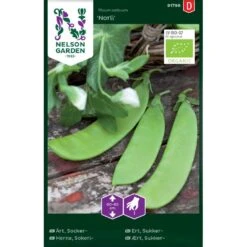 Lav Sukkerært 'Norli' Øko Pisum Sativum 'Norli'