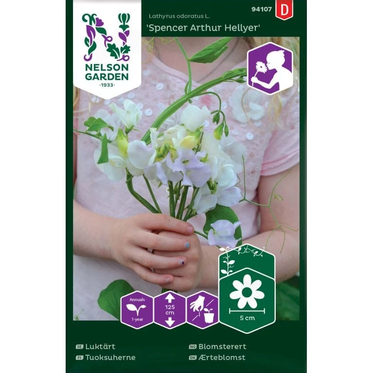 Ærteblomst 'Spencer Arthur Hellyer' Lathyrus Odoratus L. 'Spencer Arthur Hellyer' 3 Ærteblomst 'Spencer Arthur Hellyer' Lathyrus Odoratus L. 'Spencer Arthur Hellyer'