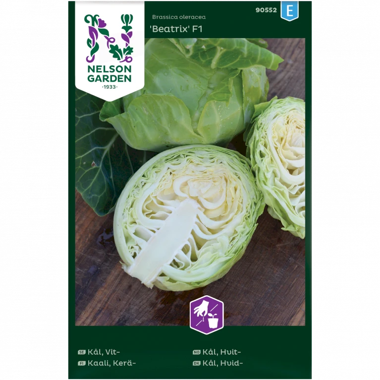 Hvidkål 'Beatrix' F1 Brassica Oleracea 'Beatrix' F1 3 Hvidkål 'Beatrix' F1 Brassica Oleracea 'Beatrix' F1