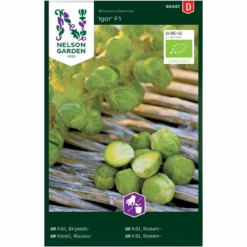 Rosenkål 'Igor' F1 Brassica Oleracea 'Igor' F1