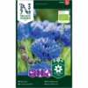 Høj Kornblomst Øko Centaurea Cyanus 2 Høj Kornblomst Øko Centaurea Cyanus -Osmo Salgsbutik p34776 34757 centaurea cyanus 1390